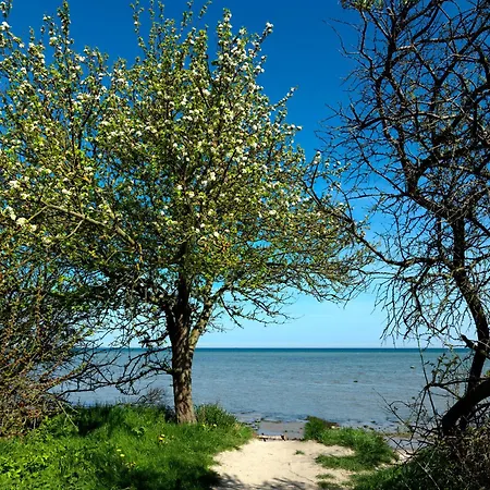 Appartement Am Avalee Insel Poel