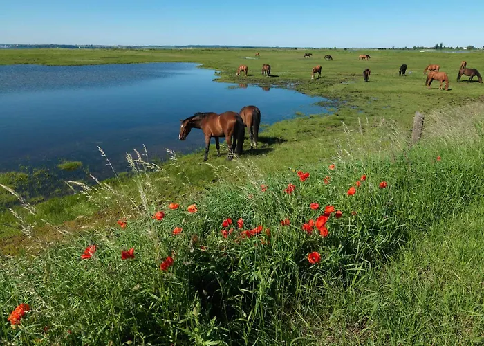 Am Avalee Insel Poel