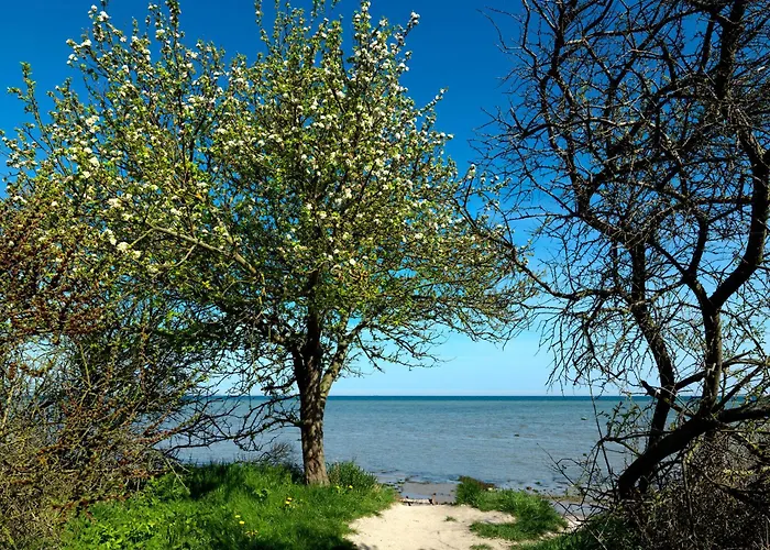 Lägenhet Am Avalee Insel Poel
